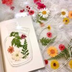 ست 20 عددی استیکر شفاف بوک مارکی گل خشک YD سری Romantic Season کد YD-GH01 - Image 6