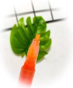 ست 6 عددی هایلایتر مایع BESTDI کد RM-1506-6 - Image 5